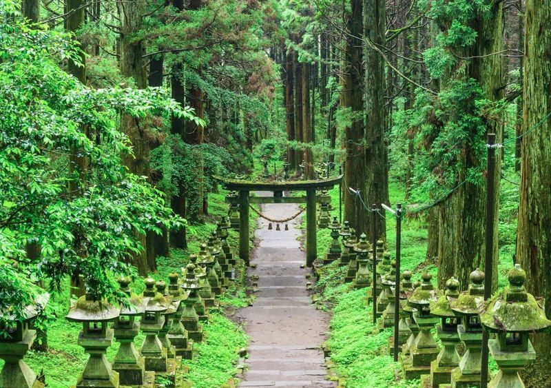 Takachiho Gorge & Kamishikimi Kumanoza Shrine Full-Day Secret Valley Tour - Takachiho Gorge: the scenic centerpiece
