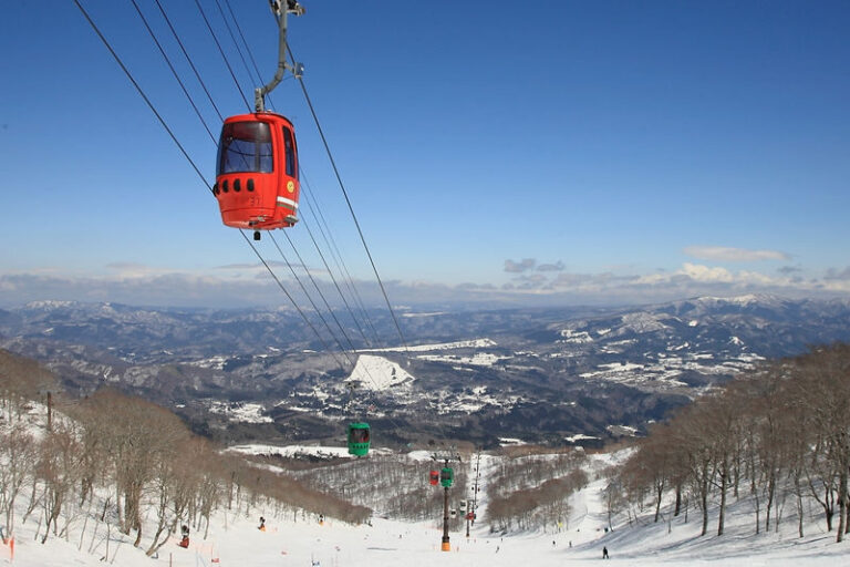 Takasu Snow Park 1DAY Tour from Nagoya - Six hours at a substantial ski area