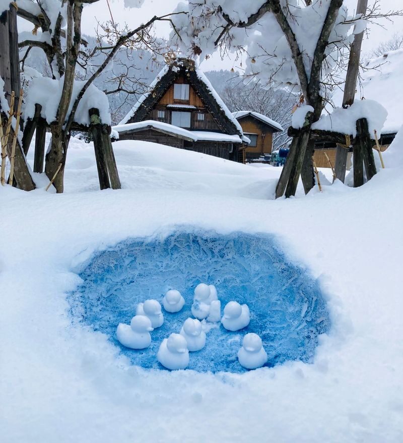 Takayama & Fairytale Shirakawa-go World Heritage DayTour from Nagoya - Takayama: old streets, food, and a quick plan