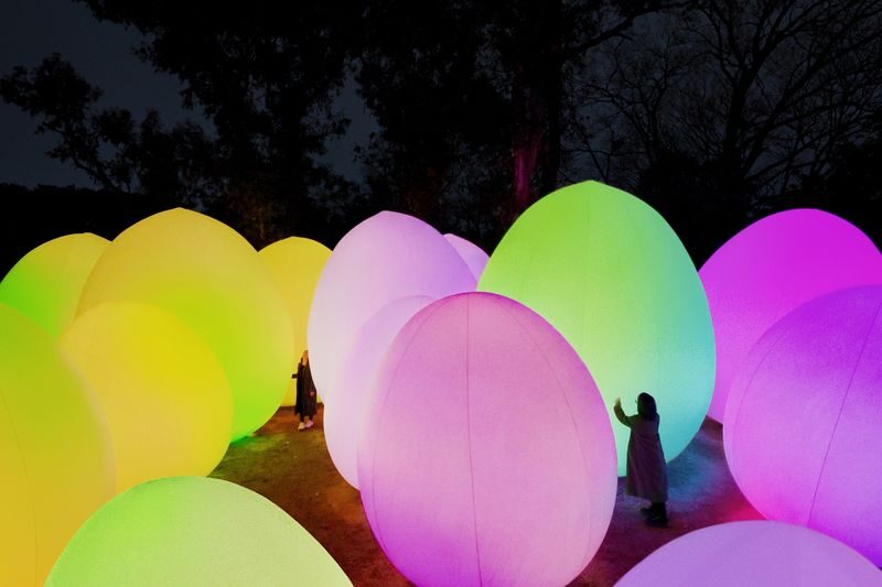 teamLab Botanical Garden Osaka Ticket - How long to allow, and when to go