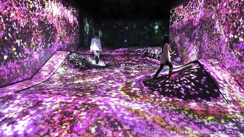 teamLab Forest Fukuoka Ticket - Catch and Collect Forest: a digital animal hunt