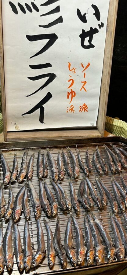 Tokyo City Full-Day Private Customizable Tour - What the driver adds