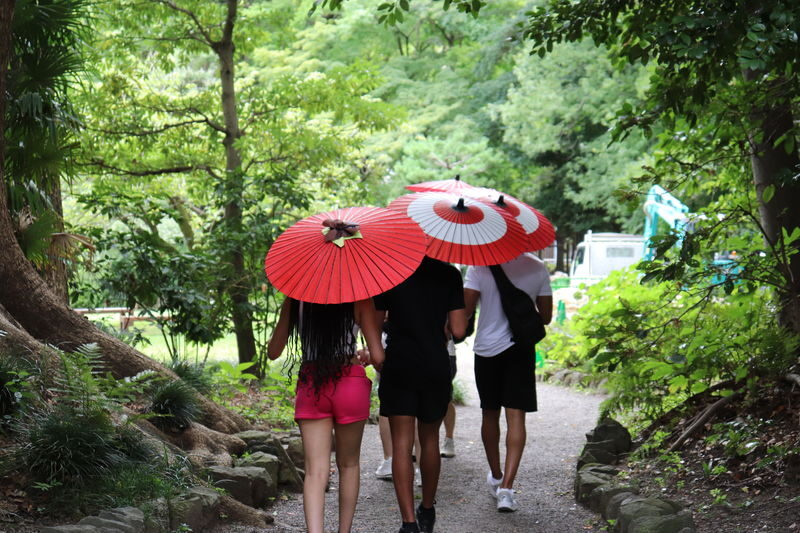 Tokyo City Highlights Half-Day E-Bike Tour with Guide - What the route tells you, and what it does not