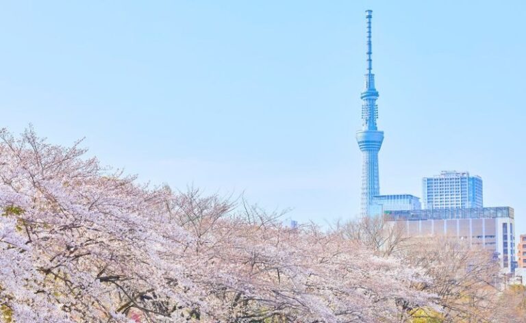 Tokyo City, Private and Customized City Exploration Walking Day Tour - Asakusa: old Edo around Senso-ji