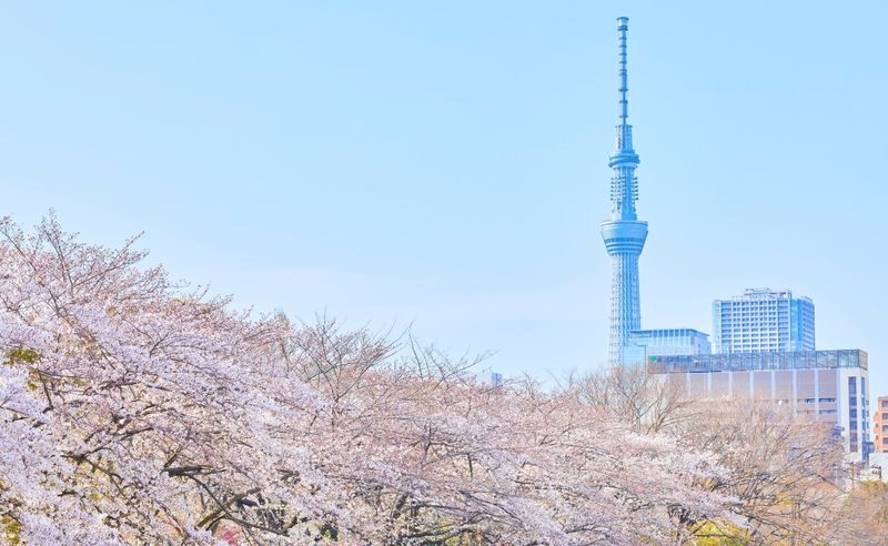 Tokyo City, Private and Customized City Exploration Walking Day Tour - Asakusa: old Edo around Senso-ji