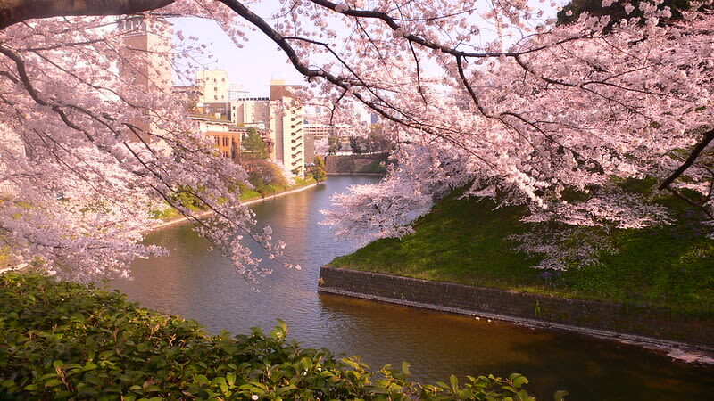 Tokyo City, Private Customized Day Trip with English-speaking Driver - Asakusa and Senso-ji: a strong first stop