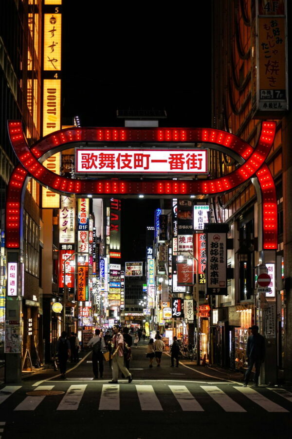 Tokyo City, Shinjuku Nightlife Walking Tour - Omoide Yokocho’s tiny yakitori bars