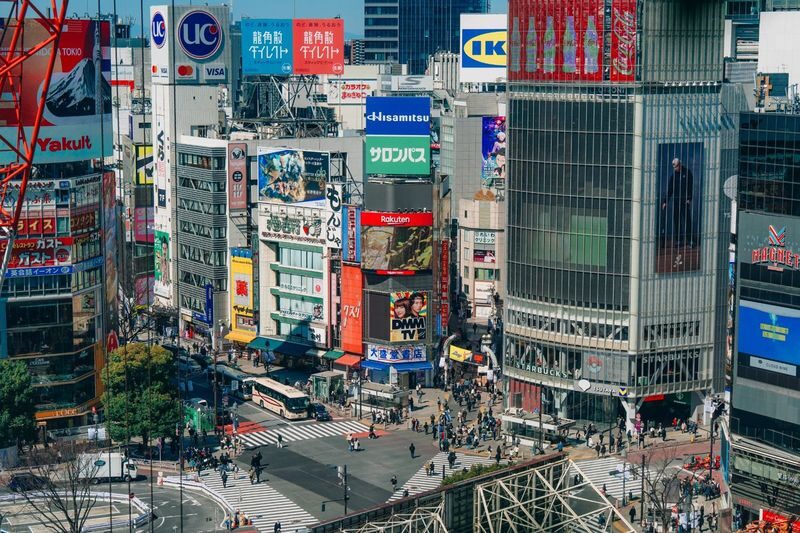 Tokyo Early Morning Tour Asakusa Meiji Shrine and Tsukiji Market - Learning Tokyo’s trains on the way to Tsukiji