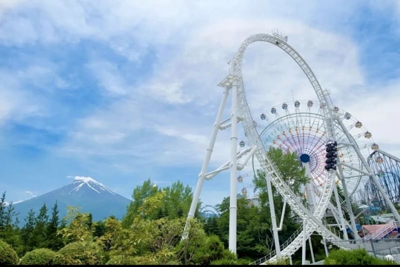 Tokyo Fuji-Q Highland Full-Day Private Tour with Transfers - At Fuji-Q, protect the time you came for