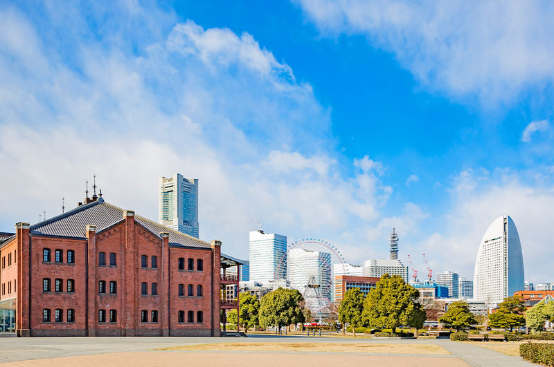 Tokyo Full-Day Enoshima, Kamakura & Yokohama Sightseeing Tour - Kamakura and Yokohama Add Range, Not a Fixed Checklist