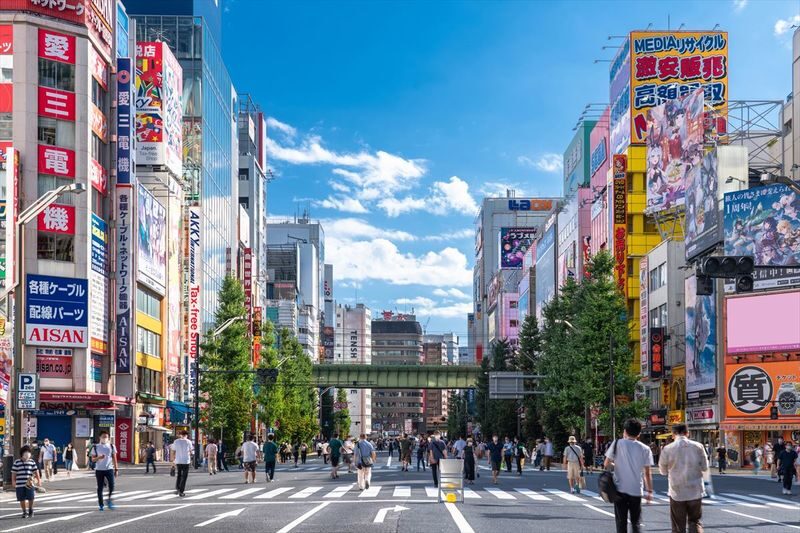 Tokyo Full-Day Private Car Tour with Customizable Itinerary - Planning a route around the Imperial Palace