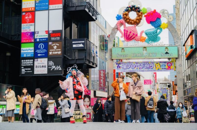 Tokyo Full-Day Private City Highlights Tour - What the driver-guide adds