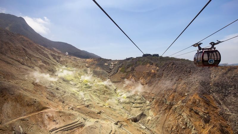 Tokyo Hakone Full-Day Private Customizable Tour - Heiwa no Torii: confirm the stop before you go