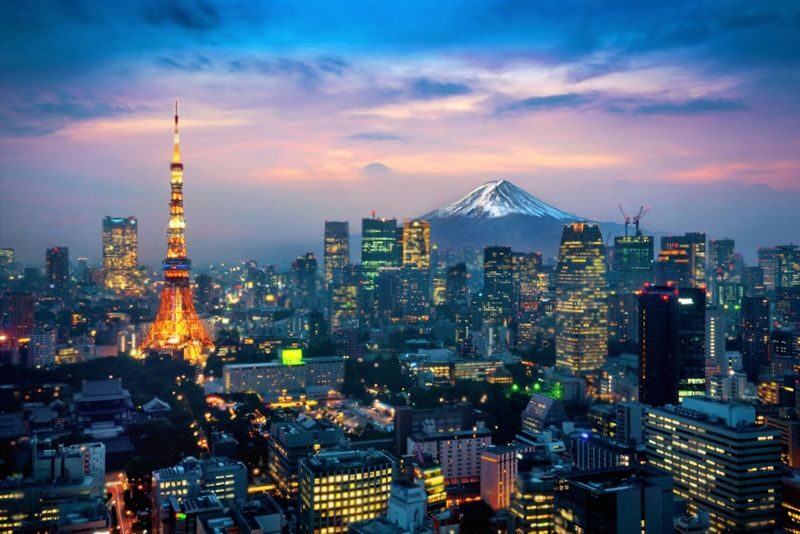 Tokyo Highlights Private Day Trip - Tsukiji, sushi and the cost of a market stop