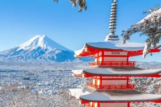 Tokyo Hikawa Clock Shop & Mt. Fuji Full-Day Private Tour - The Lake Kawaguchi cable car and Sky Swing