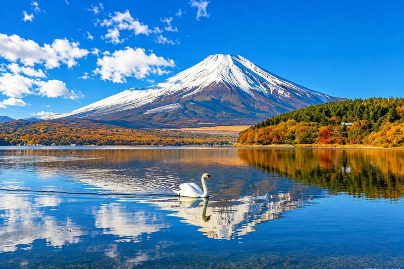 Tokyo Mount Fuji Customizable Day Tour - Lake Kawaguchiko: the classic Fuji reflection