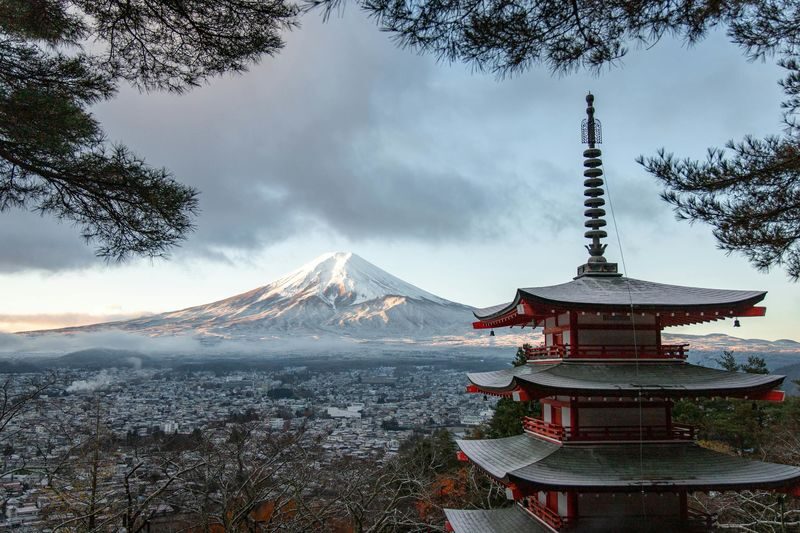 Tokyo Mount Fuji Full-Day Private Guided Tour - Chureito Pagoda and the shrine stops