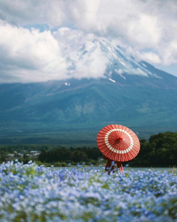 Tokyo Mount Fuji & Gotemba Full-Day Private Tour - Chureito Pagoda and the classic Fuji view