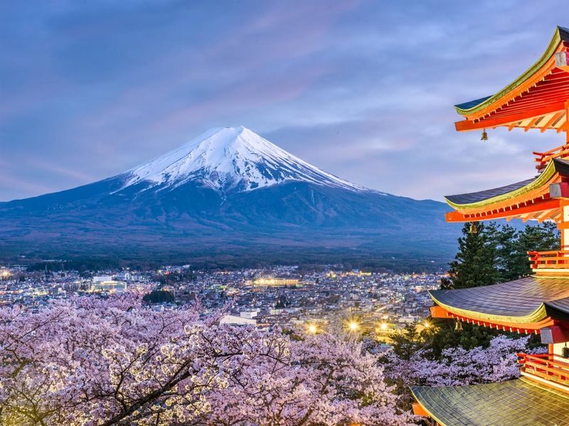 Tokyo Mount Fuji & Lake Kawaguchi Full-Day Private Tour - Lake Kawaguchi gives you room to enjoy the view