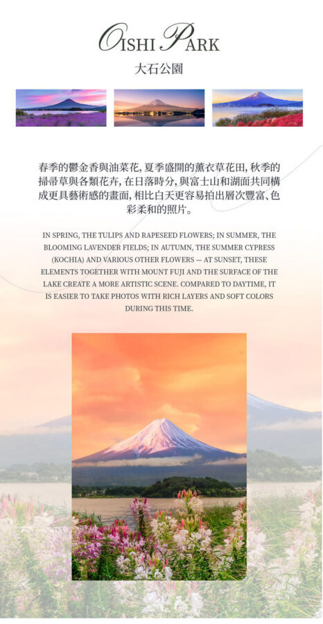 Tokyo Mount Fuji & Lake Kawaguchiko Sunset Tour - Lake Kawaguchiko: Fuji with room around it