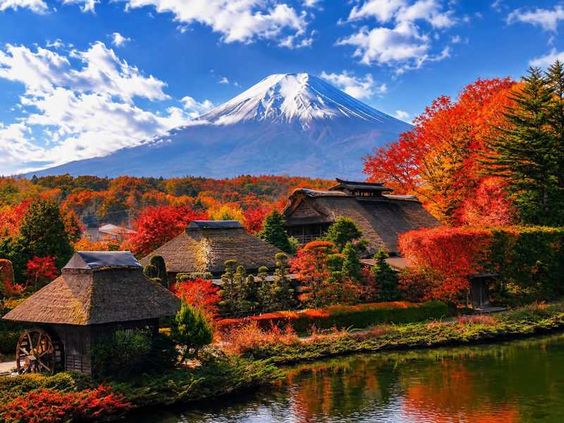 Tokyo: Mt. Fuji, Arakurayama Sengen Park, Oishi Park, Oshino Hakkai - Oishi Park: a short stop for flowers and Fuji