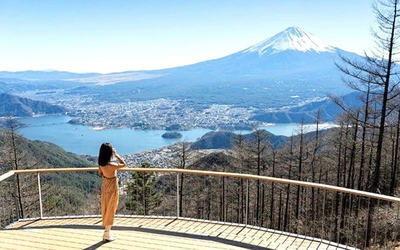 Tokyo Mt. Fuji & Hakone Private Customizable Day Tour - Lake Kawaguchi, Chureito Pagoda, and the Fuji area