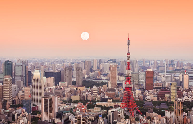 Tokyo Night Scenery Cruise: Nihonbashi Water Bus, Toyosu Seaside LaLaport, Tokyo Tower Bright Night Scenery Day Tour - Toyosu: choose your own evening