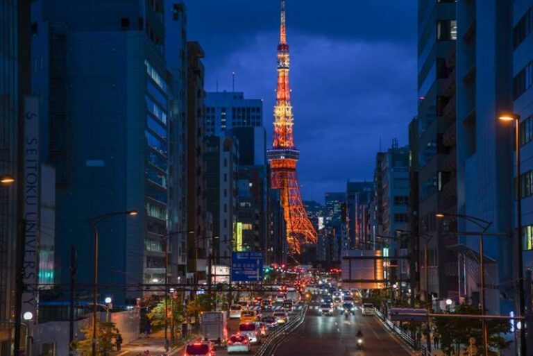 Tokyo Night View Private Half-Day Tour - How the half-day format may work for you