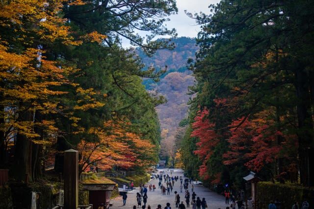Tokyo Nikko Day Trip: Nikko Toshogu Shrine + Kegon Falls, Onsen Hot Spring & Edo Village Cultural Experience - Lake Chuzenji Adds Mountain Air, but Only Briefly