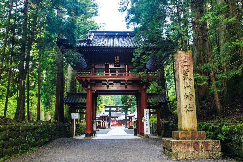 Tokyo Nikko Full-Day Private Experience with Customizable Itinerary - The value of having a driver