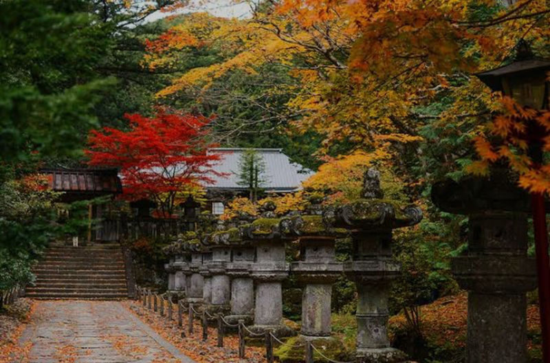 Tokyo Nikko Private Full-Day Tour with Transfers - Kegon Falls and Lake Chuzenji