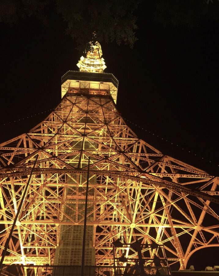 Tokyo Private Car Charter | Mount Fuji-Lake Kawaguchi-Oshino Hakkai | Customizable Itineraries - Lake Kawaguchiko: room to take in Fuji