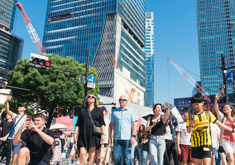 Tokyo: Shibuya Highlights Walking Tour & Secret View Spot - Find a quieter mood in Nonbei Yokocho