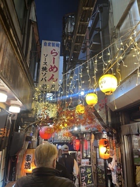 Tokyo Shinjuku: History, Culture & Hidden Alleys Walking Tour - Omoide Yokocho: a compact first stop
