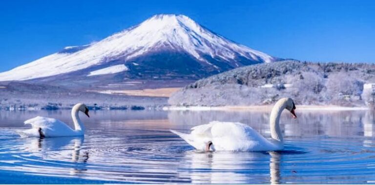 Tokyo To - Mount Fuji Day Trip With English Speaking Driver/Guide - Oshino Hakkai: eight clear ponds and a village pause
