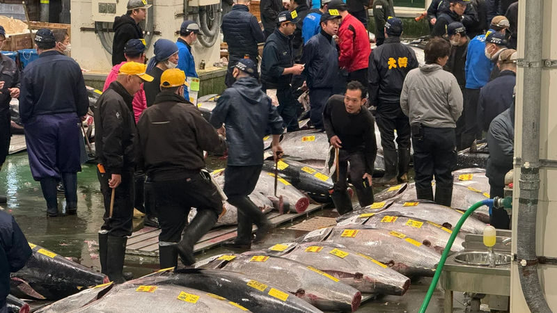 Tokyo: Toyosu Tuna Auction & Tsukiji Market Gourmet Food Tour - A 3.5-hour route from Toyosu to Tsukiji