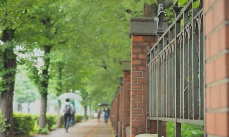 Tokyo University Half-Day Immersive Campus Experience - A university walk with more than campus trivia