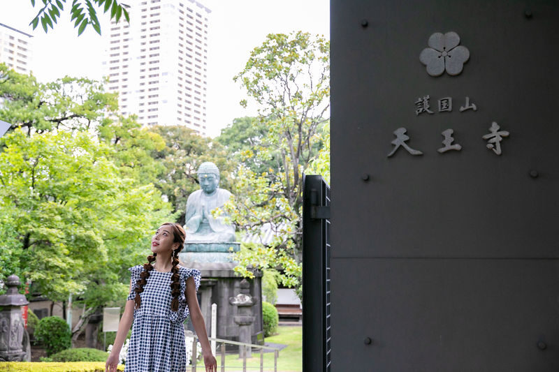 Tokyo Yanaka, Nezu, Sendagi Half-Day Private Cultural Tour - Nezu and Sendagi Add More Than a Single Street