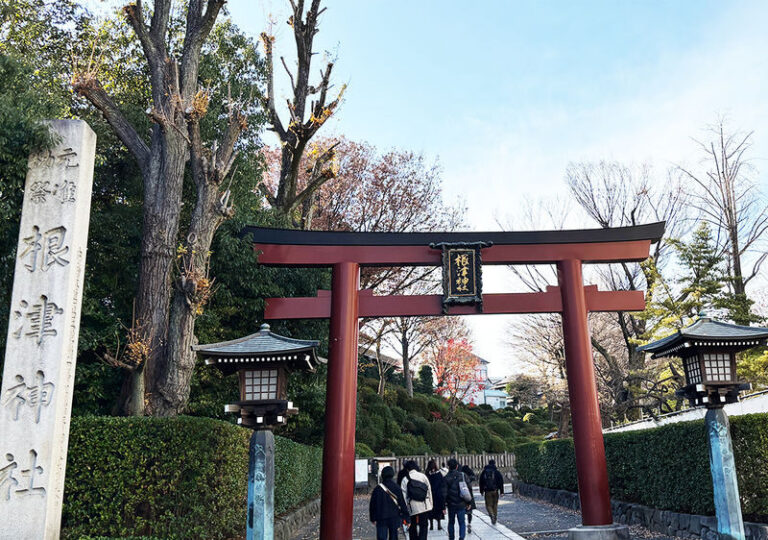 Tokyo Yanaka Old Town Half-Day Cultural Walking Tour - The route needs a little homework