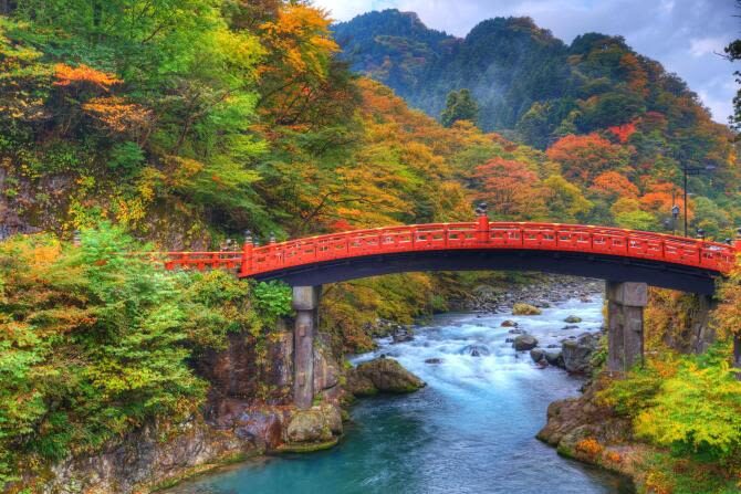 Toshogu Shrine & Shinkyo Bridge One-day Tour - Kegon Falls: a powerful start