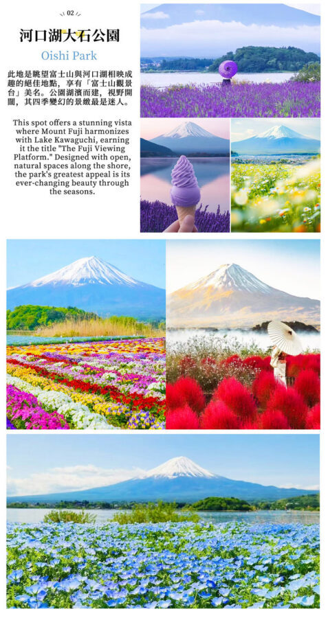 Two-Day Mount Fuji Cycling Tour | Kawaguchiko Panoramic Ropeway & Matcha Experience + Oishi Park + Oshino Hakkai + Hirano no Hama + Yamanakako Cycling / Boat Trip + Popular Check-In Spots | Includes 1 Night Hot Spring Hotel - Matcha by Lake Kawaguchi