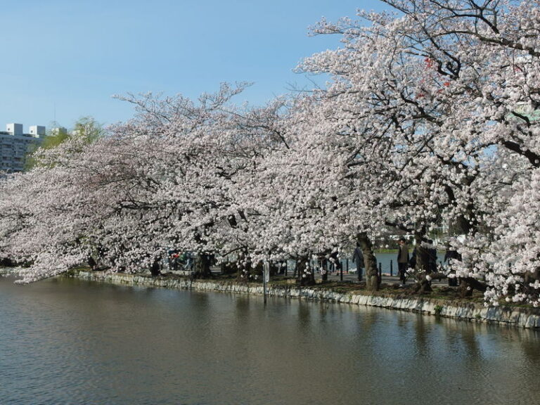 Ueno Park & Ameyoko Shopping Street Half-day Walking & Guided Tour - What to expect in Ueno Park