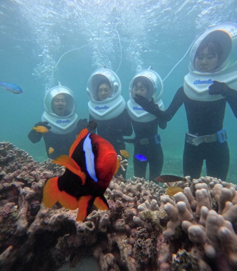 Underwater SeaWalker Experience Ishigaki Island - On the seabed with fish close by