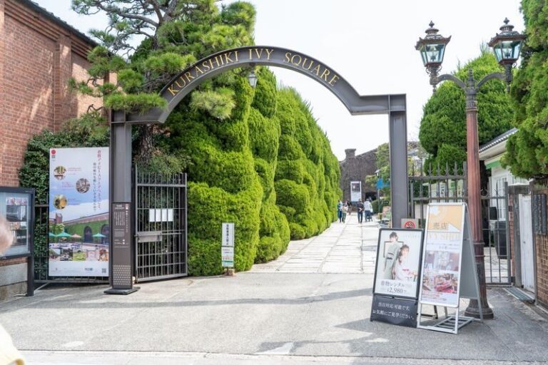VASARA Kimono and Yukata Rental in Kurashiki - Choosing between a basic kimono and an upgrade