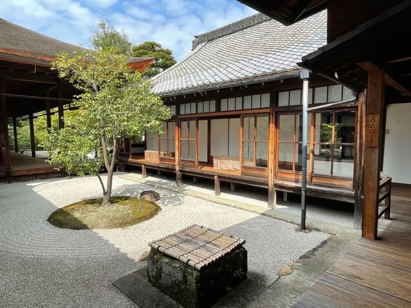 W/Lunch: Kyoto Highlights Bike Tour with UNESCO Zen Temples - Riding between temples and old Kyoto streets