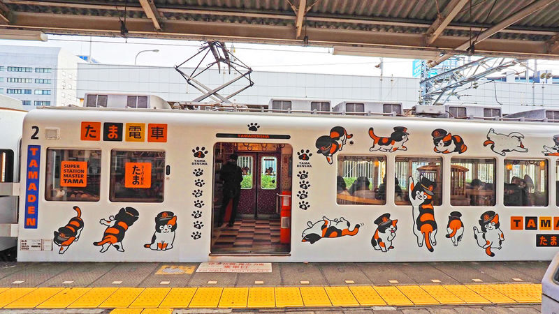 Wakayama Cat Stationmaster Kishi Station Train Experience & Kuroshio Market & Rinku Premium Outlets or Transfer to Kansai Airport - Kishi Station and its cat stationmaster
