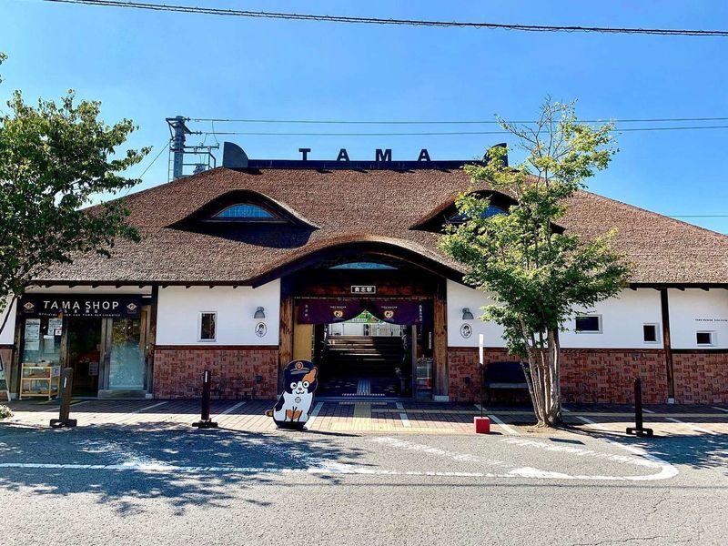 Wakayama: Mt. Koya & Nachi Falls Full-Day Private Tour - Mt. Koya: find out what your visit includes