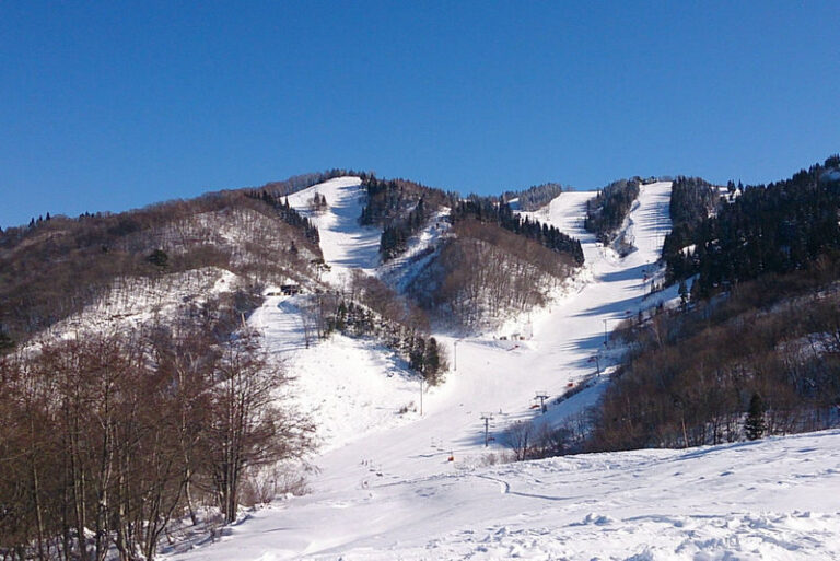 White PIA Takasu 1-DAY Lift Ticket & Round-Trip Bus from Nagoya - Six hours to make the snow day count