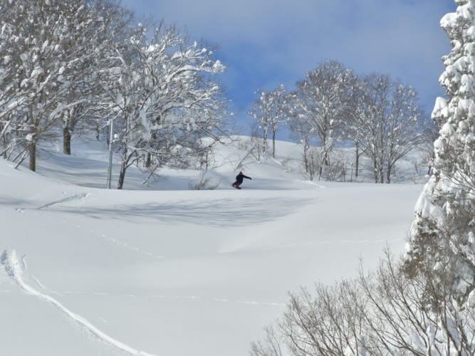 Winter limited ski private car charter: GALA Yuzawa, Naeba NAEBA, Hakuba ski resort (ski day trip/one-way transfer) - Choose between GALA Yuzawa, Naeba, and Hakuba
