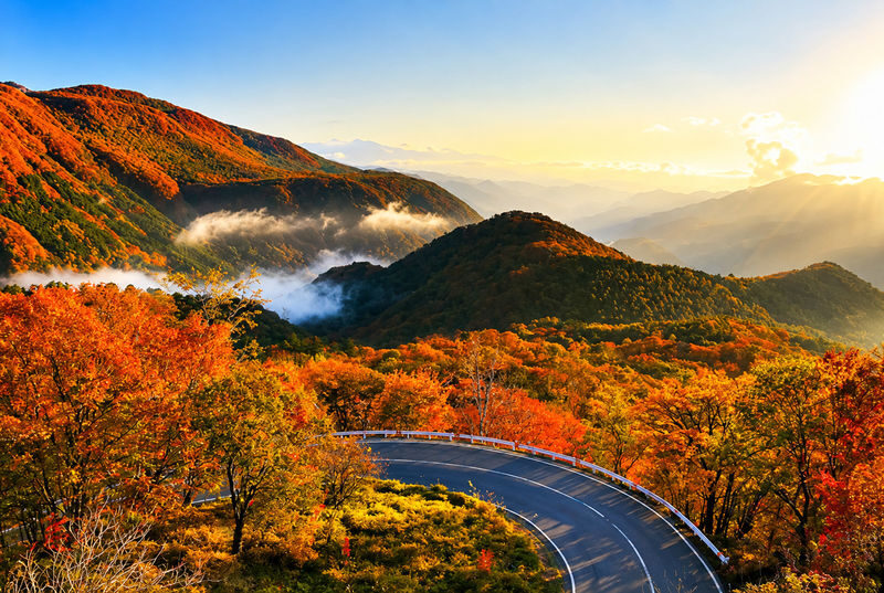 World Heritage & Natural Wonders - Nikko Toshogu Shrine, Lake Chuzenji, Kegon Falls - Departing from Tokyo - Irohazaka’s 48 Curves